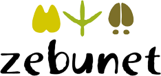 Zebunet
